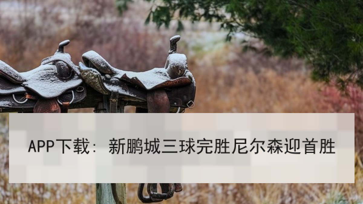APP下载: 新鹏城三球完胜尼尔森迎首胜 APP下载: 新鹏城三球完胜尼尔森迎首胜